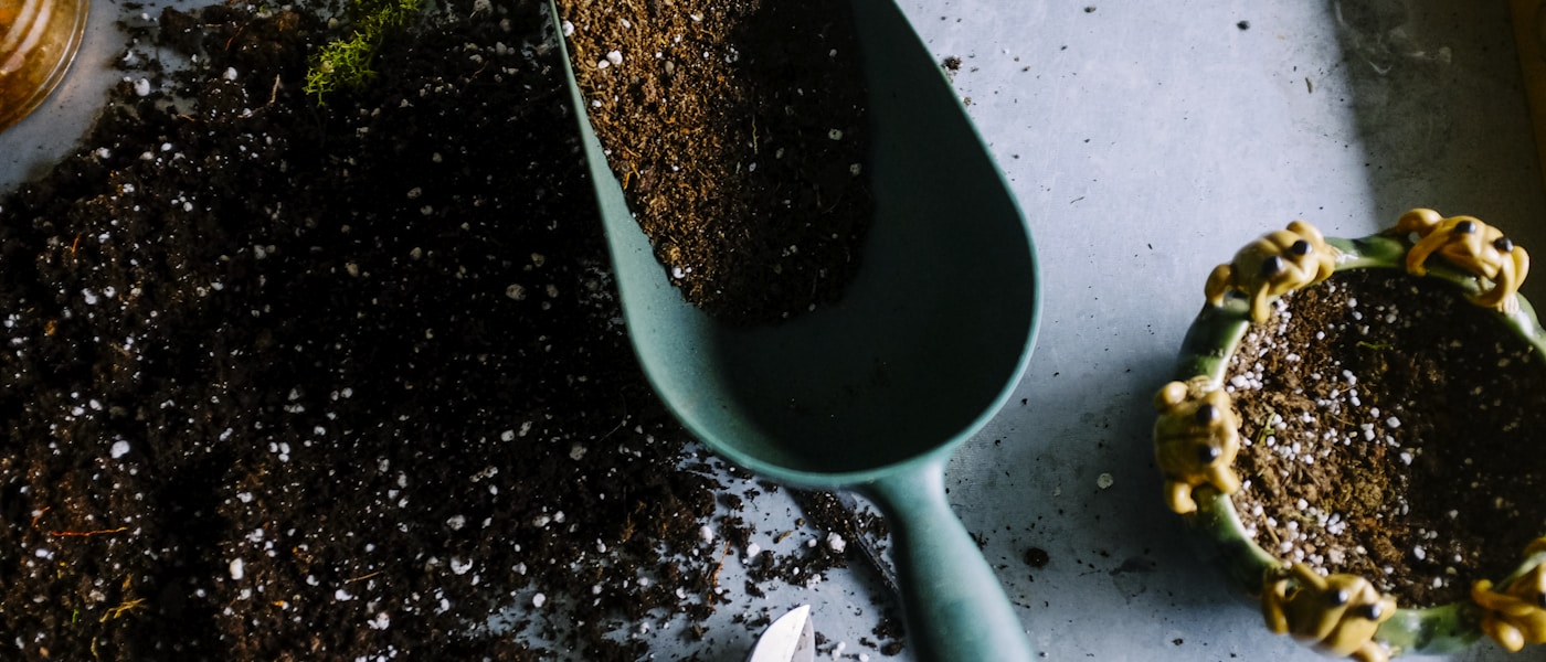 Healthy garden soil with plants