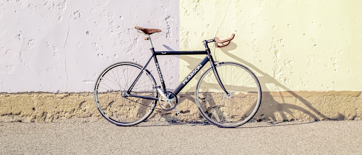 Tomato plants in garden